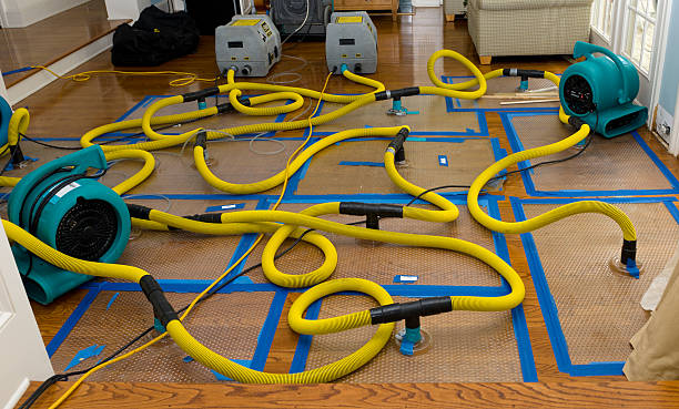 Professional Sewage Cleanup technician working in Versailles, KY